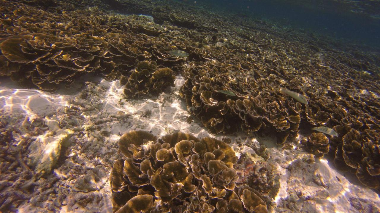 Kaafu Inn Guraidhoo Εξωτερικό φωτογραφία