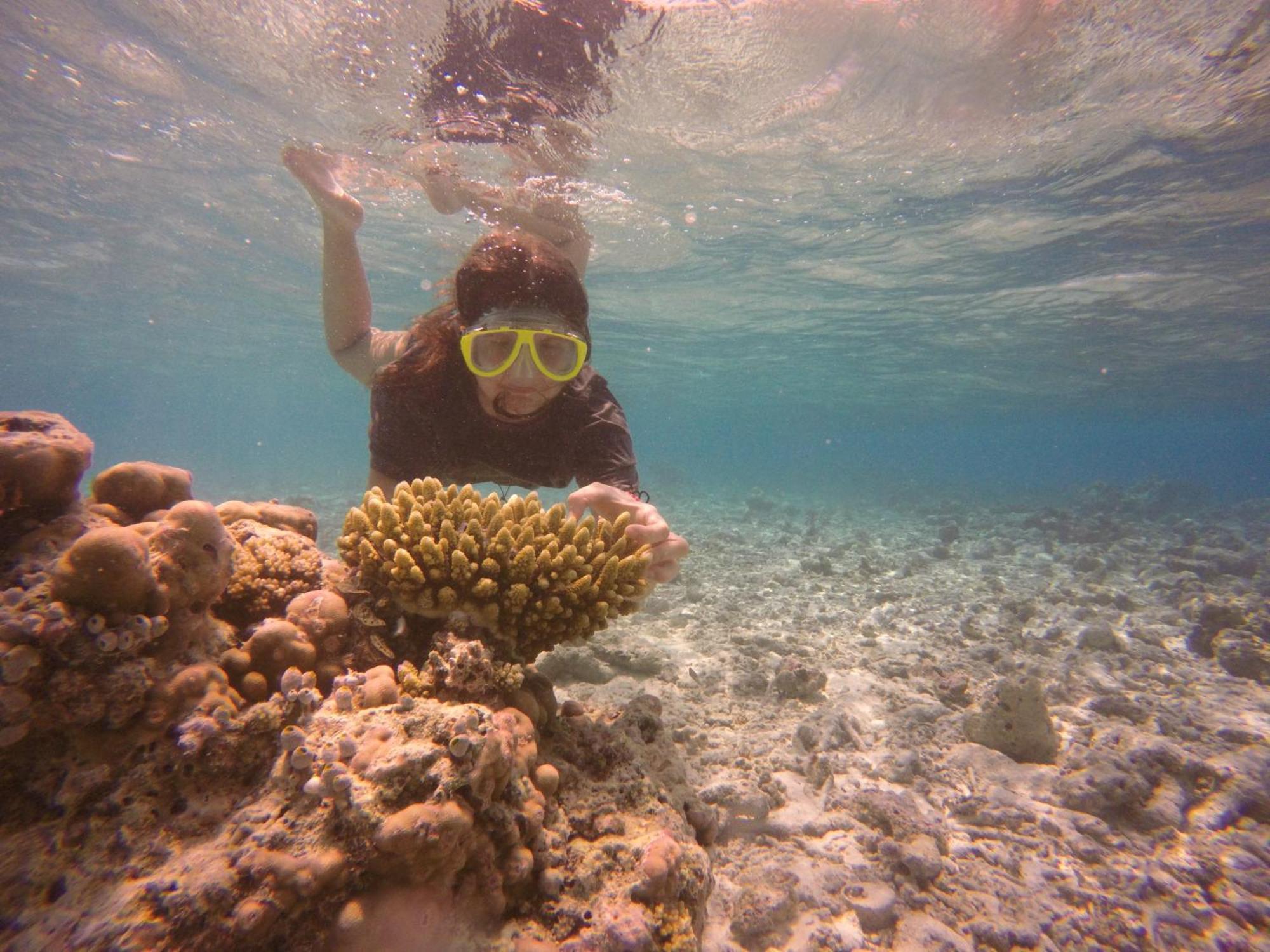 Kaafu Inn Guraidhoo Εξωτερικό φωτογραφία