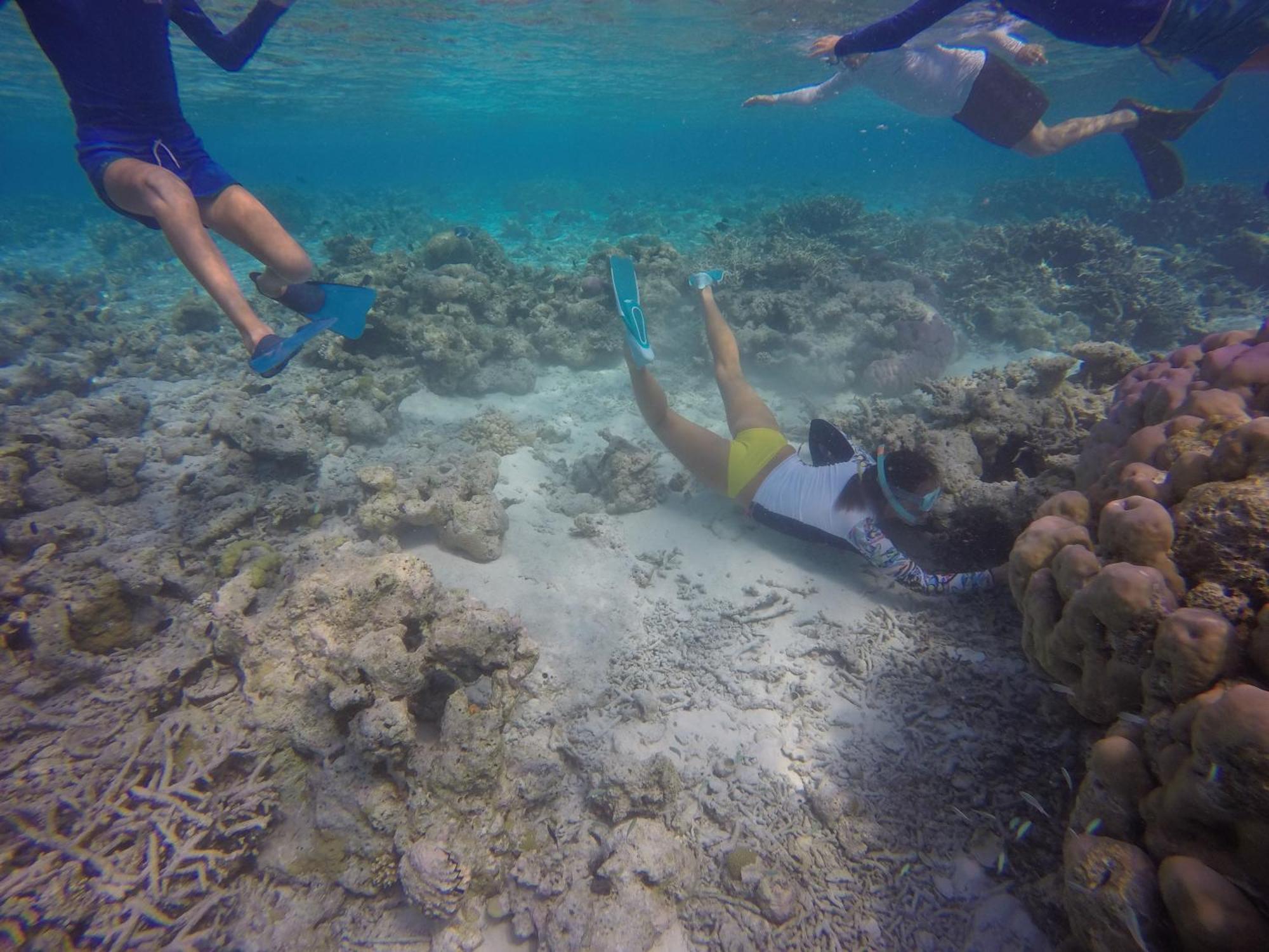 Kaafu Inn Guraidhoo Εξωτερικό φωτογραφία
