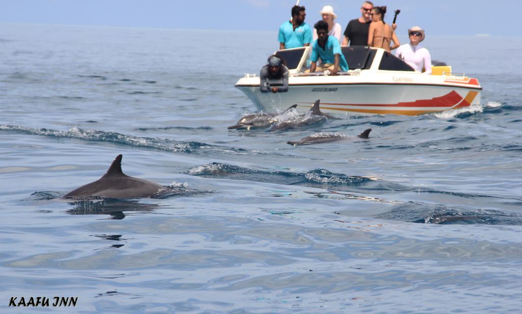 Kaafu Inn Guraidhoo Εξωτερικό φωτογραφία