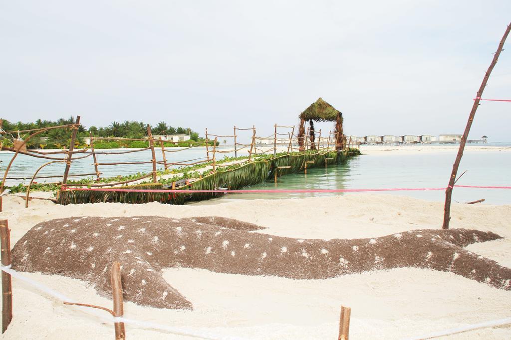 Kaafu Inn Guraidhoo Εξωτερικό φωτογραφία