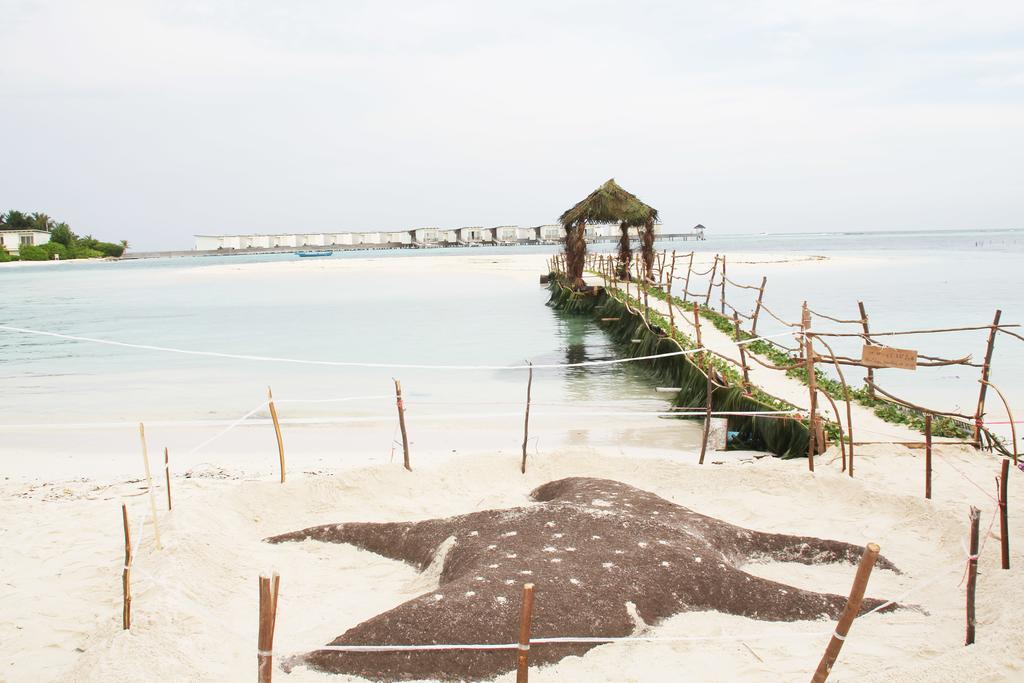 Kaafu Inn Guraidhoo Εξωτερικό φωτογραφία