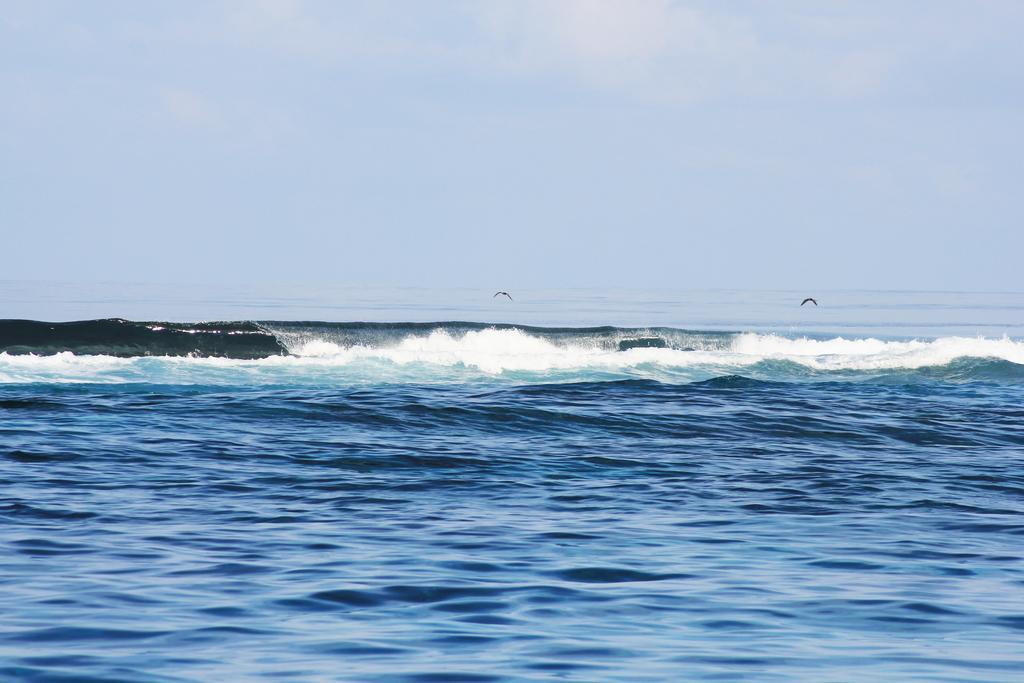Kaafu Inn Guraidhoo Εξωτερικό φωτογραφία