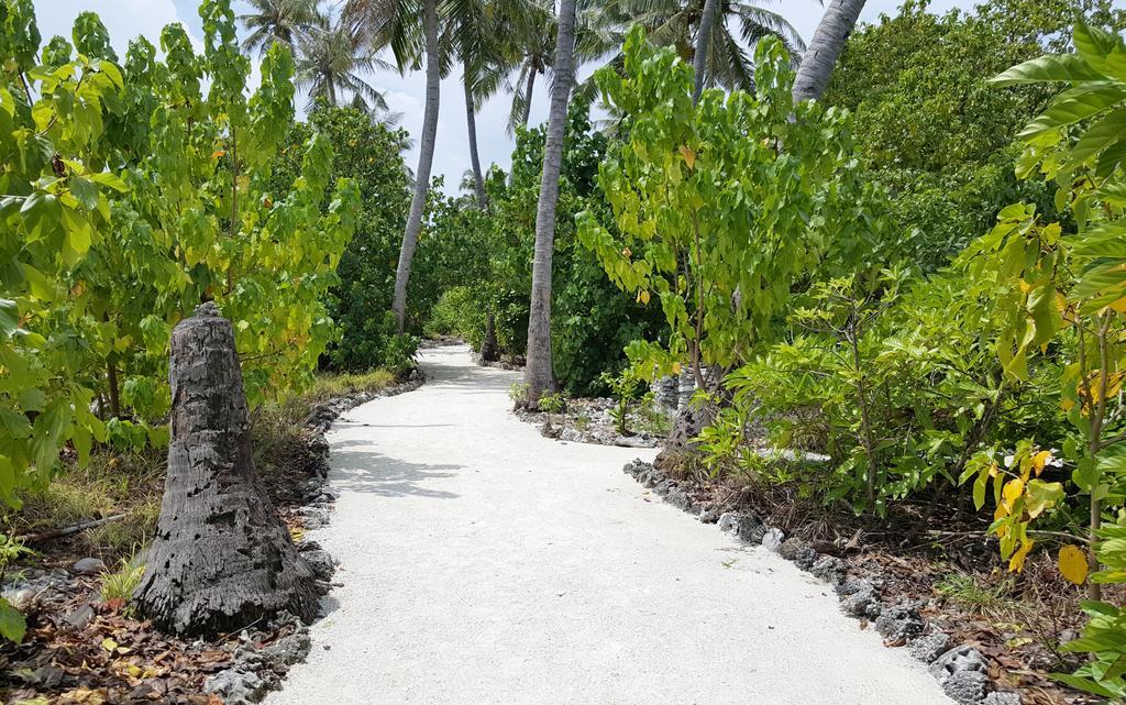 Kaafu Inn Guraidhoo Εξωτερικό φωτογραφία